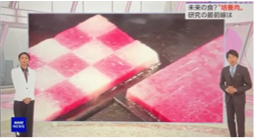 「おはよう日本」で万博出展についてのご紹介(1)